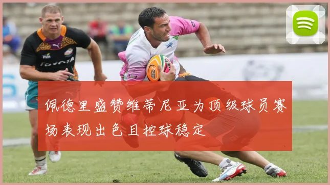 佩德里盛赞维蒂尼亚为顶级球员赛场表现出色且控球稳定